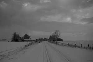 winter 2010